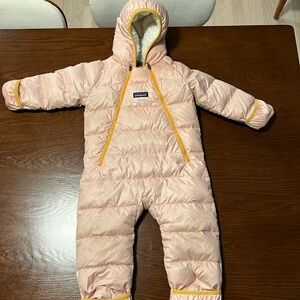 Patagonia Down Bunting